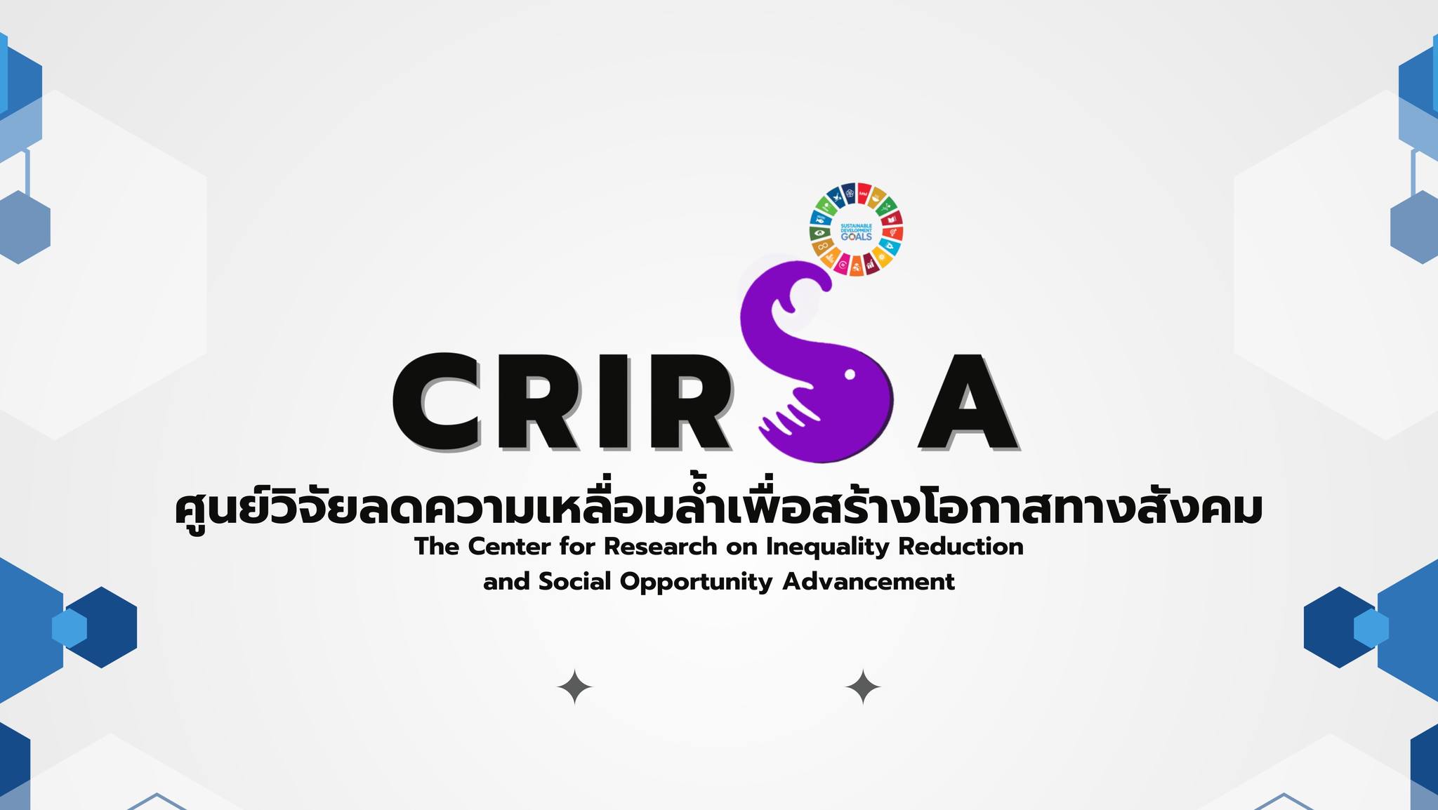 CRIRSA Banner